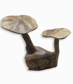 Découvrez Nos Meubles En Teck|Cocktail Scandinave Champignons en Teck